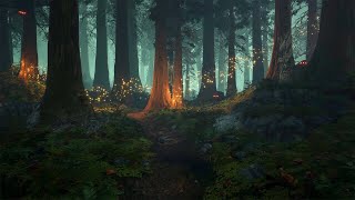 Enchanted Forest  Music amp Ambience ✨🌲🧚🏻 [upl. by Shepley]