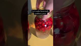 Homemade cranberry juice homemade diy cranberryjuice [upl. by Hael]