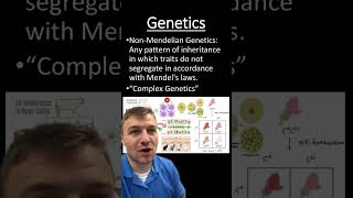 Mendelian vs NonMendelian genetics [upl. by Anaihsat]