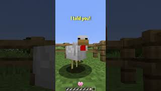 POV Youre a Chicken in Minecraft [upl. by Ellwood]