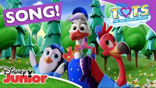 🌺 Smell the Flowers  TOTS  Disney Junior Africa [upl. by Iaras]