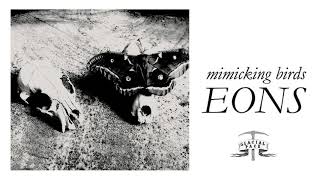 Mimicking Birds  Memorabilia Official Audio [upl. by Kelam]