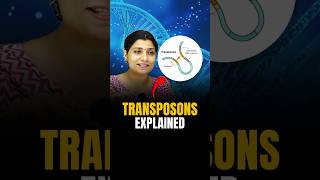 TRANSPOSONS Explained riturattewal neetbiology transposons neet2024 neet [upl. by Burgwell]