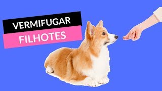 Vermifugar Filhotes  Como Vermifugar Filhotes de Cachorro [upl. by Natica]