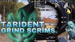 🔱TRIDENT GRIND SRIMS  warrior squad  solo 5 finish ❣️ [upl. by Lemhar356]