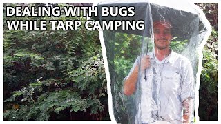 How To Tarp Camp With Bugs [upl. by Khalil]