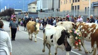 Smontegada 2015  Grande Sfilata delle MalghePedavena [upl. by Haida]