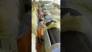 Sisal Soles Processing Full Video handmade natural shoes [upl. by Hairem]