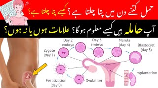 How To Know You Are Pregnant Pregnancy Ka Kaise Pata Chalta Hai  Pregnancy test  implantation [upl. by Saqaw]