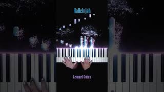 Leonard Cohen  Hallelujah Piano Cover Hallelujah LeonardCohen PianellaPianoShorts [upl. by Yarg771]