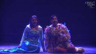 Mozart  Il Flauto Magico Die Zauberflöte  Bei Männern… Pamina Papageno  6042019 [upl. by Vinay]