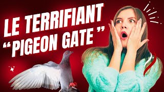 Le terrifiant quotPigeon Gatequot [upl. by Aniela34]