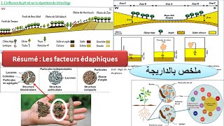 Résumé des facteurs édaphiques SVT TCSF ملخص الدرس بالداريجة [upl. by Kalvin]