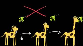 Acquired vs inherited traits  Heredity amp Evolution  Biology  Khan Academy [upl. by Hinze41]