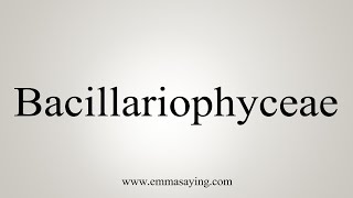 How To Say Bacillariophyceae [upl. by Fatsug]