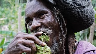 Rastafarian encounter in the Canaan Mountains Jamaica [upl. by Asetal975]