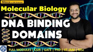 DNA Binding Domains  DNA binding Motifs  HTH  HLH  Homeodomain  dna transcription [upl. by Allecsirp717]