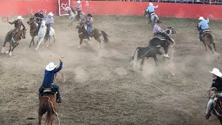 LE LLEGANRON A SIMBA DE ACANCEH plaza de toros la mejorada de ticul [upl. by Ahsikam]