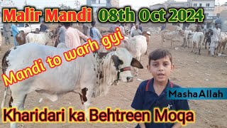 Cattle Market Malir Karachi Latest Updates  Karachi junoon pk [upl. by Daughtry]