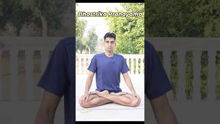 Bhastrika Pranayama mentalhealth [upl. by Otrebron902]