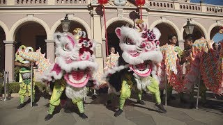 Parramatta Lunar New Year 2019 [upl. by Eisler]