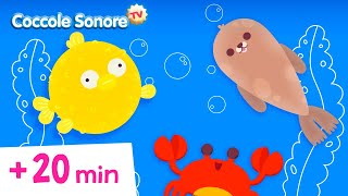 💧La canzone dellAcqua💧  altre canzoni per bambini  Coccole Sonore [upl. by Iarised78]