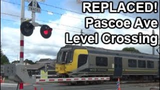 REPLACED Pascoe Ave Level Crossing  Kapiti Line [upl. by Erdah]