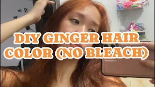 How to Achieve an Easy Ginger Hair Color A DIY Guide  Stephyannie [upl. by Demmy594]