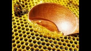 Honeycomb Cutting and Honey Flowing  ULTRA SATISFYING [upl. by Caldwell]