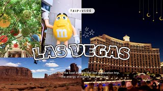 【trip vlog】ラスベガス旅行🏜️🎩 グランドキャニオンホースシューベンドアンテロープキャニオンバフェホテル巡り [upl. by Leamse]