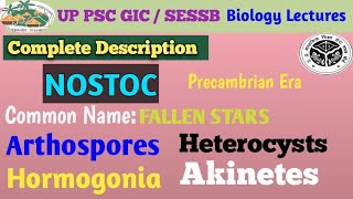 NOSTOC A CYANOBACTERIABGA Structure Life Cycle [upl. by Schott]