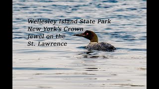 The Crown Jewel of New Yorks State ParksWellesley Island [upl. by Laamaj450]