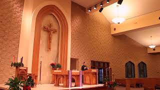 Eucharistic Revival Reflection Talk 1 of 2 [upl. by Ralf]