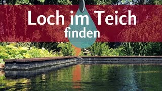 Undichter Teich So findet man einfach das Loch in der Teichfolie [upl. by Asirehc449]