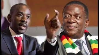 Blue movement chamisa BMC to clash ED zanu pf dending shock waves [upl. by Ellitnahc]