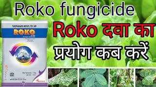 roko fungicide  thiophanate methyl 70 wp fungicide [upl. by Yahc]