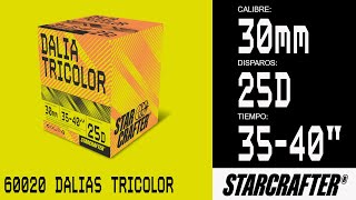 60020 Batería Dalias Tricolor  Starcrafter® [upl. by Eiralih]