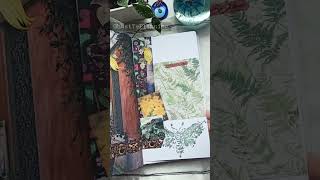 🍂 Fall Witchy Bullet Journal Flipthrough 🍂 shorts bulletjournal bujo [upl. by Graner]