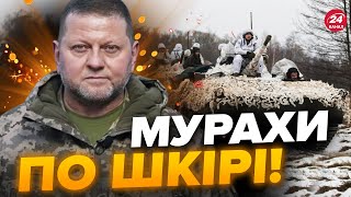 🔥ЗАЛУЖНИЙ здивував БУНКЕР вже КИПИТЬ від цього звернення [upl. by Ingrim]