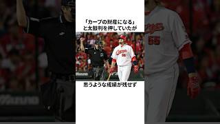 「来日2年でクビが決定した」エルドレッドについての雑学野球野球雑学広島東洋カープ [upl. by Farro]