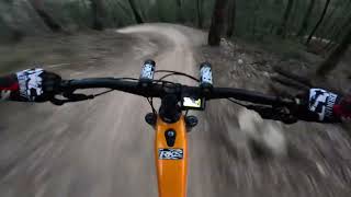 Nerang mtb trails [upl. by Asikal]