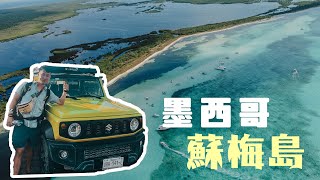 墨西哥蘇梅島vlog｜超近距離接觸2米長魔鬼魚 天堂打卡秘景 美國郵輪渡假天堂 自駕遊環島一圈最平1600起 Cozumel Mexico Vlog [upl. by Arreis295]