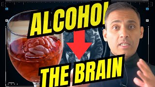 The Neuroscience Behind Alcohol 10 Ways Alcohol Affects Our BRAIN [upl. by Little]