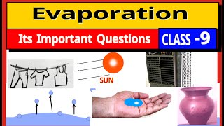 What is Evaporation in hindi Evaporation Class 9 [upl. by Teresita]