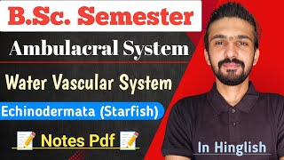 Water Vascular System In Echinodermata  StarFish  Bsc Semester  By Dadhich Sir [upl. by Ys]