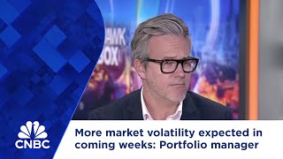 More market volatility expected in coming weeks Portfolio manager [upl. by Darom]