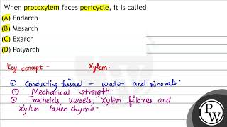 When protoxylem faces pericycle it is called A Endarch B Mesarch C Exarch D Polyarch [upl. by Ronoc]