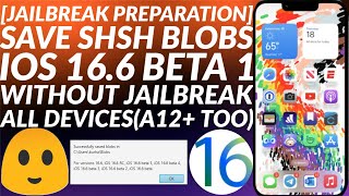 Save SHSH blobs for iOS 166 beta 1 for future downgradeupgrade for upcoming Jailbreak  Easy Guide [upl. by Adnoloy]