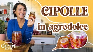 Come preparare le cipolle in agrodolce  Erica Liverani [upl. by Ettener482]