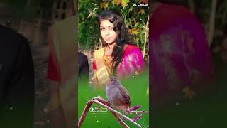 bangla songbangla new songbangla movie songbangla video songbangla song 2018bangla s [upl. by Gar]